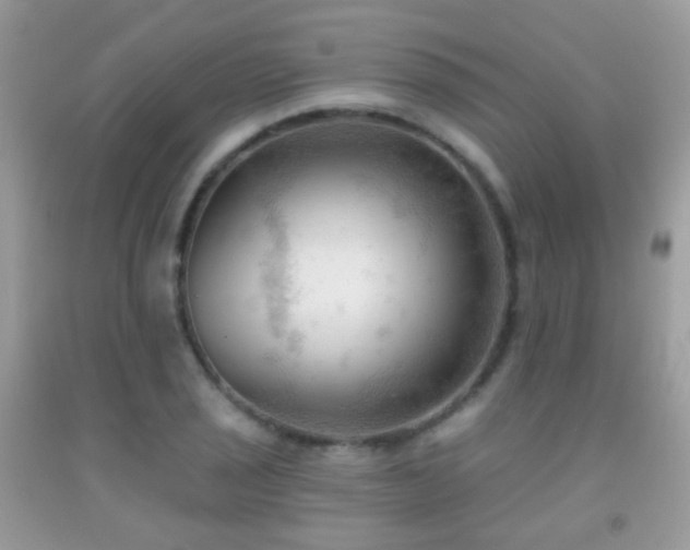 X0000091971029200709061327