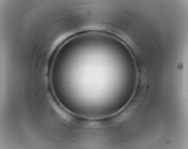 X0000091971030200709061327
