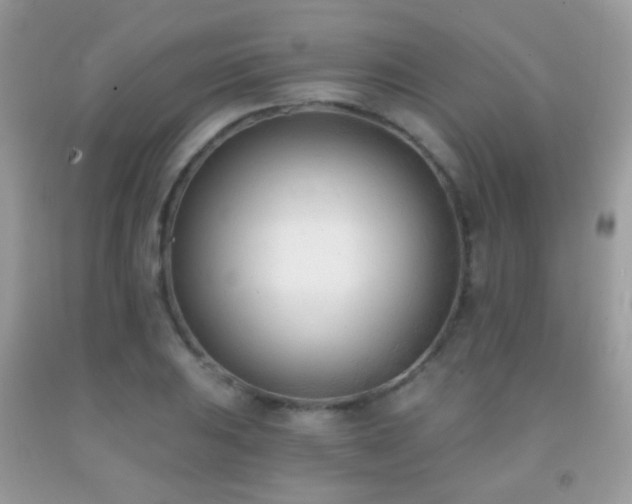 X0000091971031200709061327