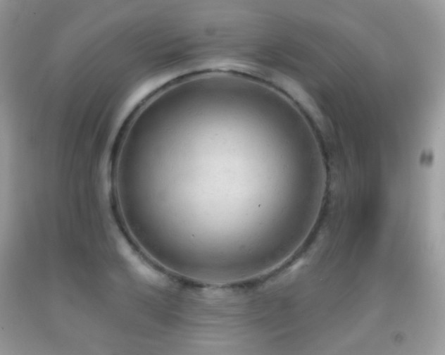 X0000091971032200709061327