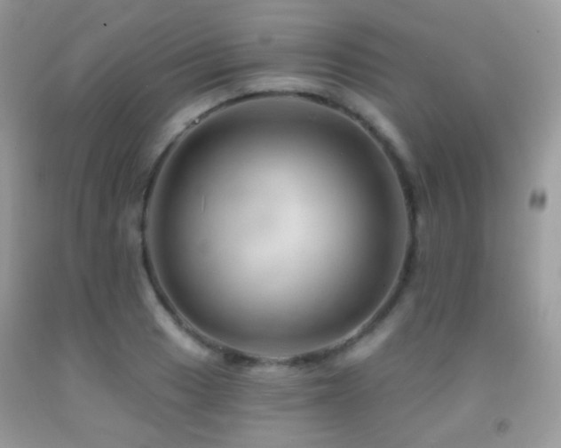 X0000091971033200709061327