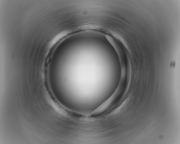 X0000091971034200709061327