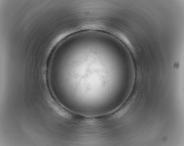 X0000091971035200709061327