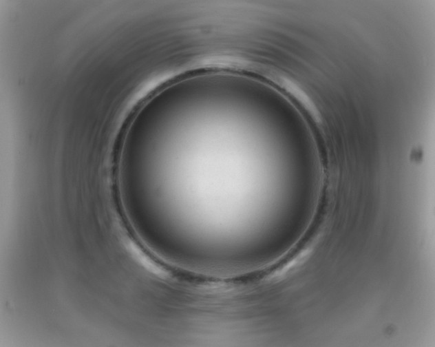 X0000091971037200709061327