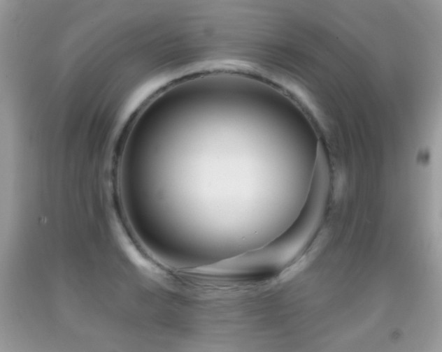 X0000091971038200709061327