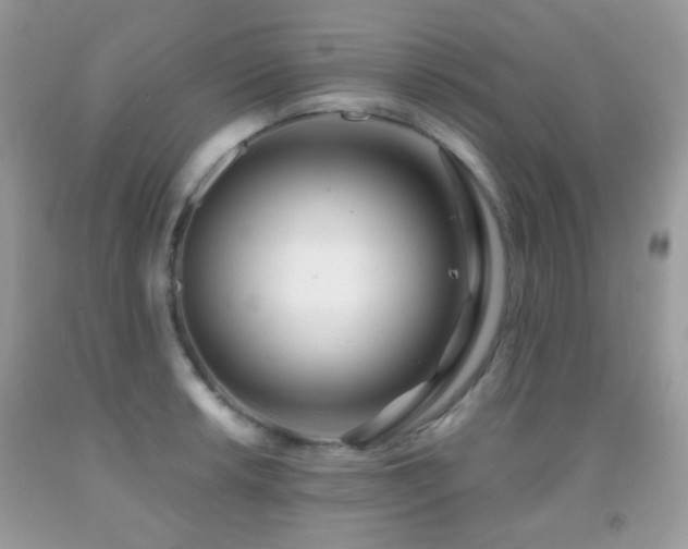 X0000091971042200709061327