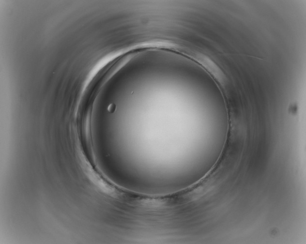 X0000091971044200709061327
