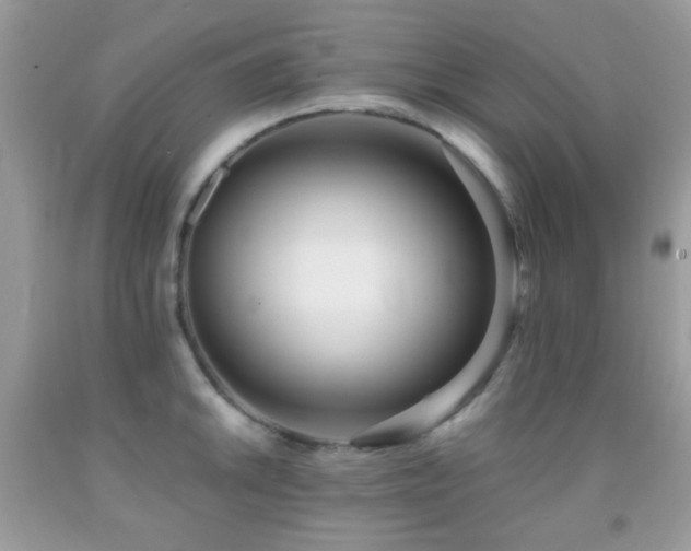 X0000091971046200709061327