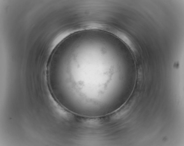 X0000091971047200709061327