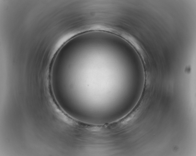 X0000091971048200709061327