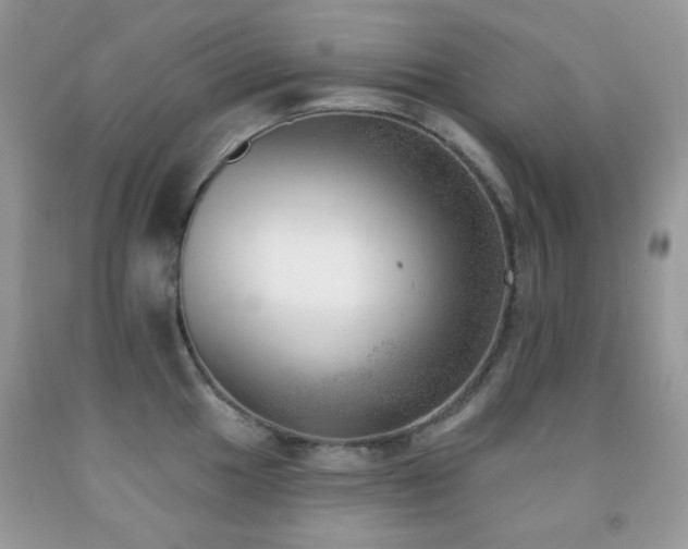 X0000091971049200709061327
