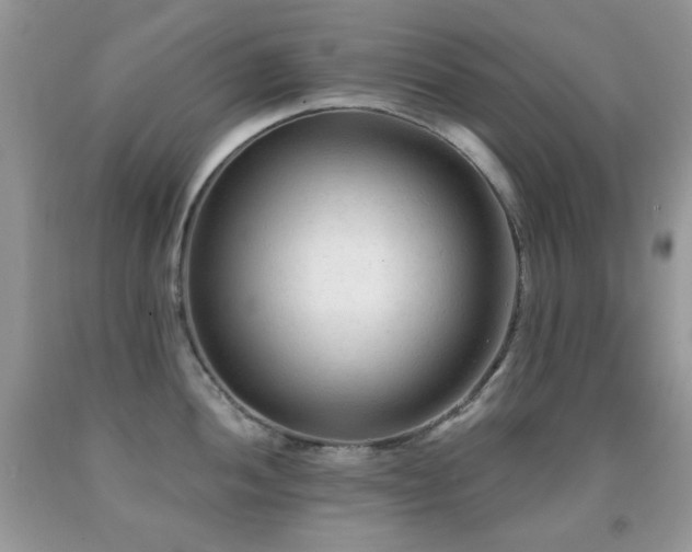 X0000091971052200709061327