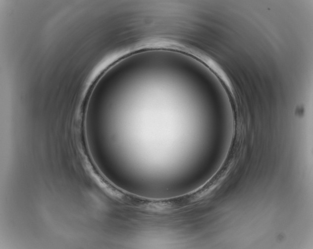 X0000091971053200709061327
