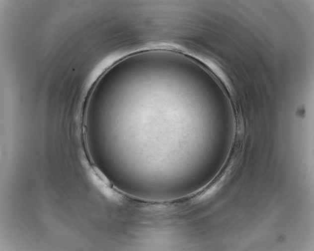X0000091971054200709061327