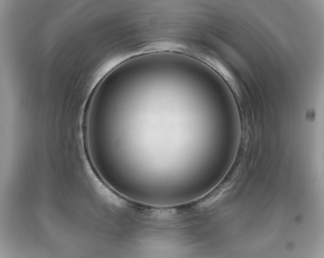 X0000091971055200709061327