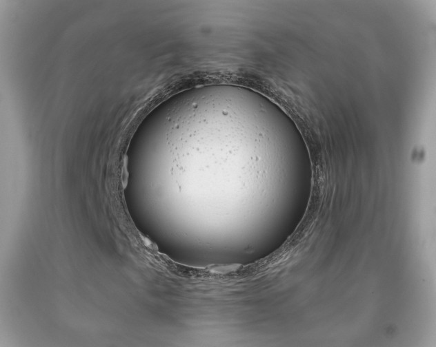 X0000091971057200709061327