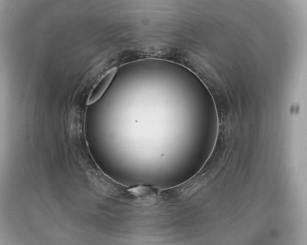 X0000091971058200709061327