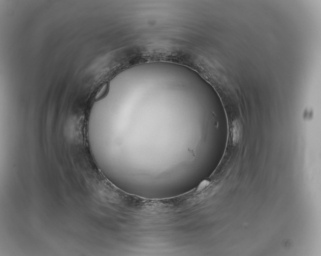 X0000091971059200709061327
