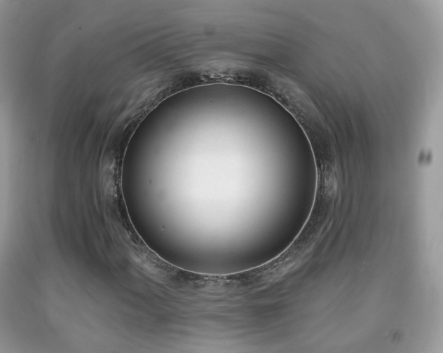 X0000091971060200709061327
