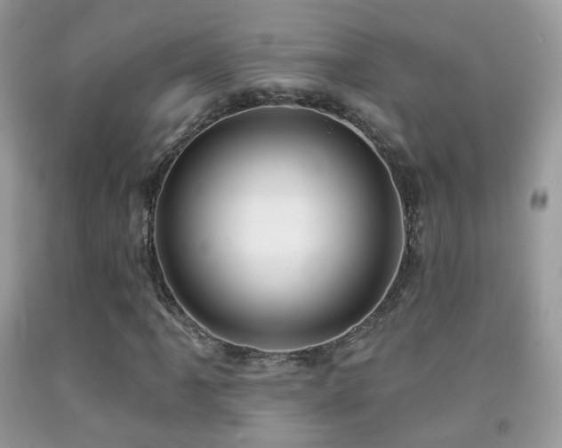 X0000091971061200709061327