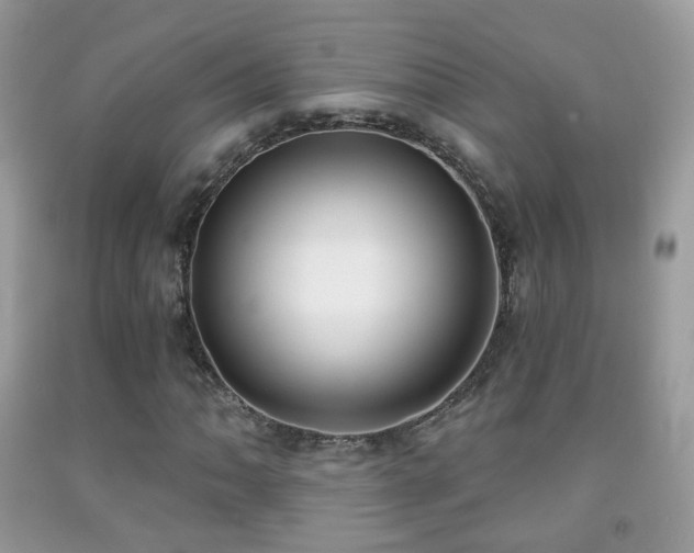 X0000091971062200709061327