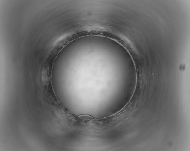 X0000091971063200709061327