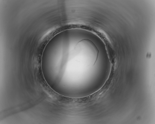 X0000091971064200709061327