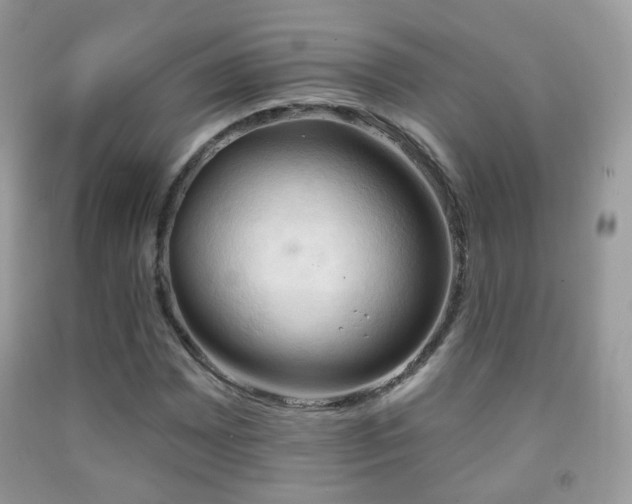 X0000091971065200709061327