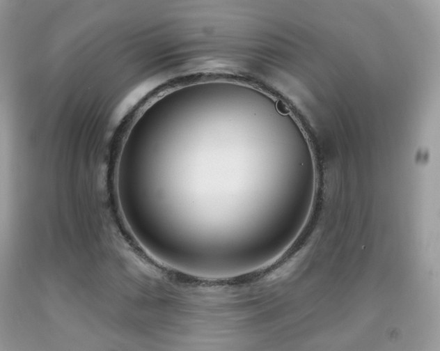 X0000091971066200709061326