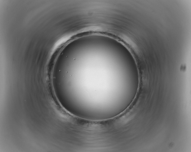 X0000091971070200709061326