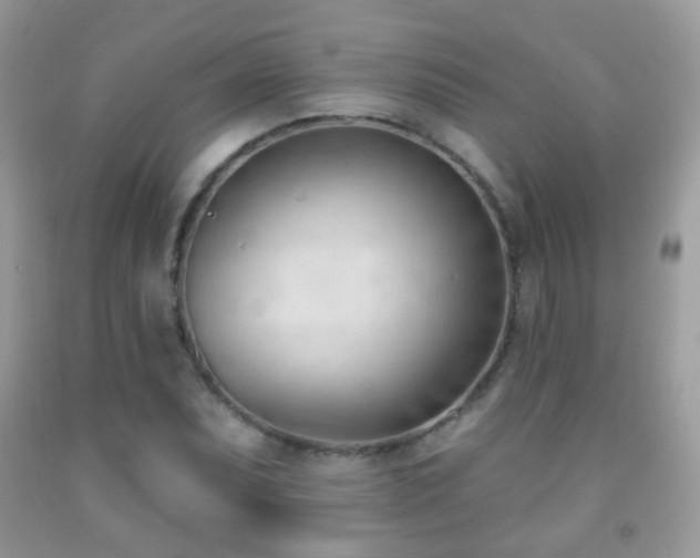 X0000091971071200709061326