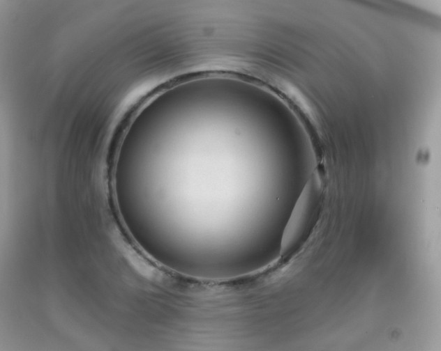X0000091971072200709061326