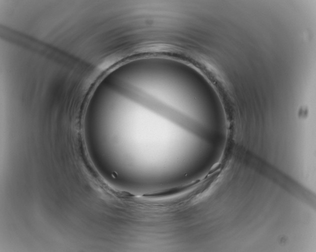 X0000091971073200709061326