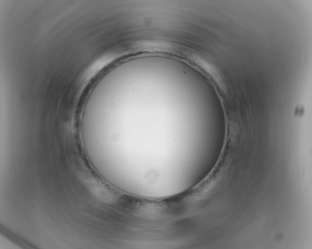 X0000091971074200709061326