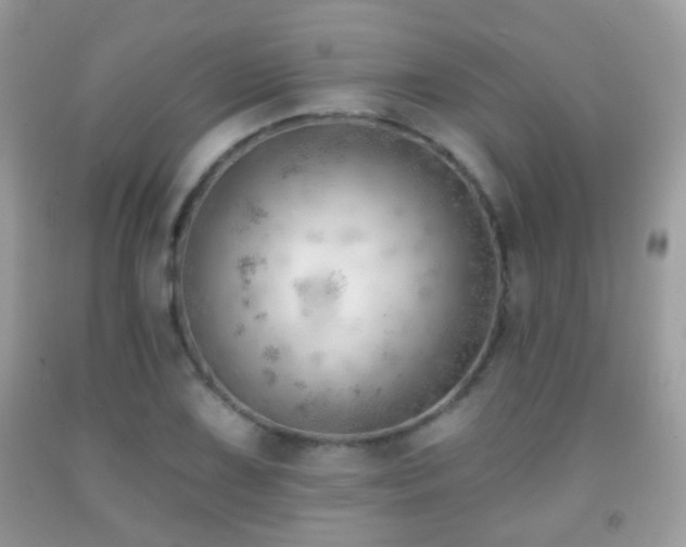 X0000091971075200709061326