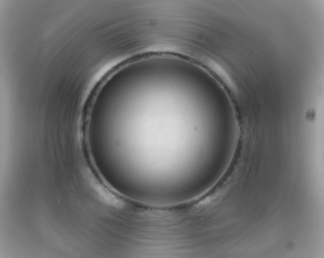 X0000091971076200709061326