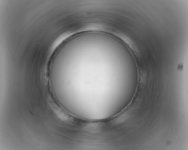 X0000091971078200709061326