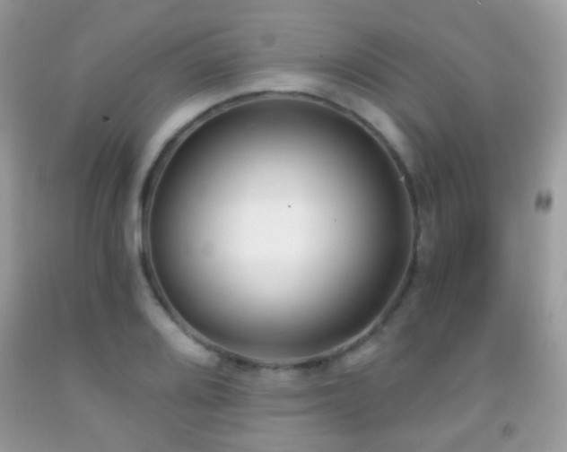 X0000091971080200709061326