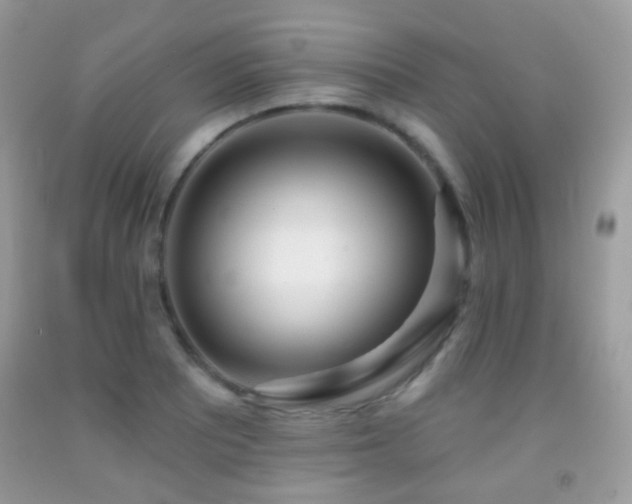 X0000091971081200709061326