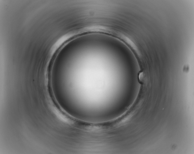 X0000091971082200709061326