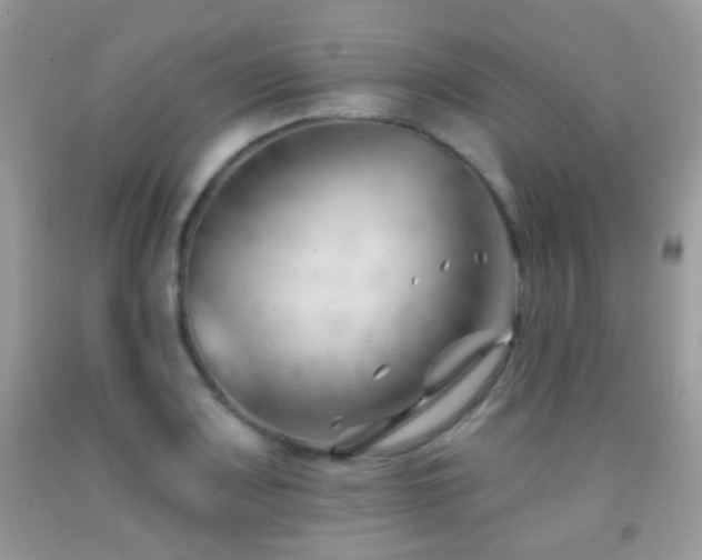X0000091971083200709061326