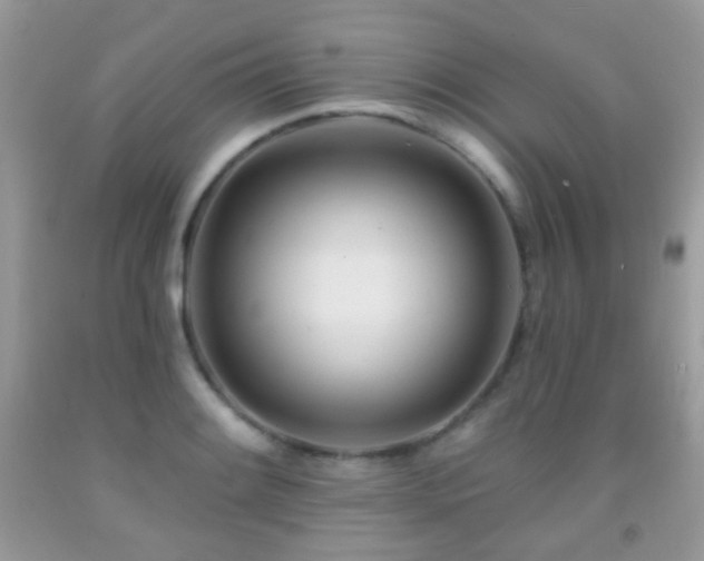 X0000091971084200709061326