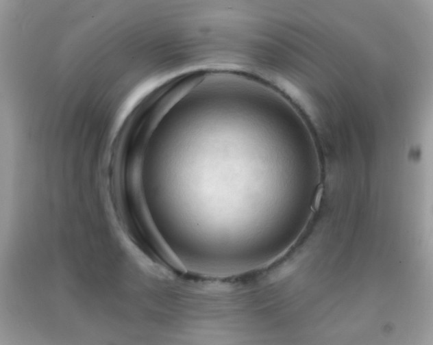 X0000091971085200709061326