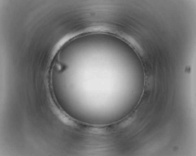 X0000091971086200709061326