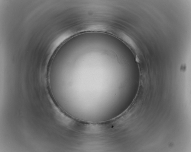 X0000091971087200709061326