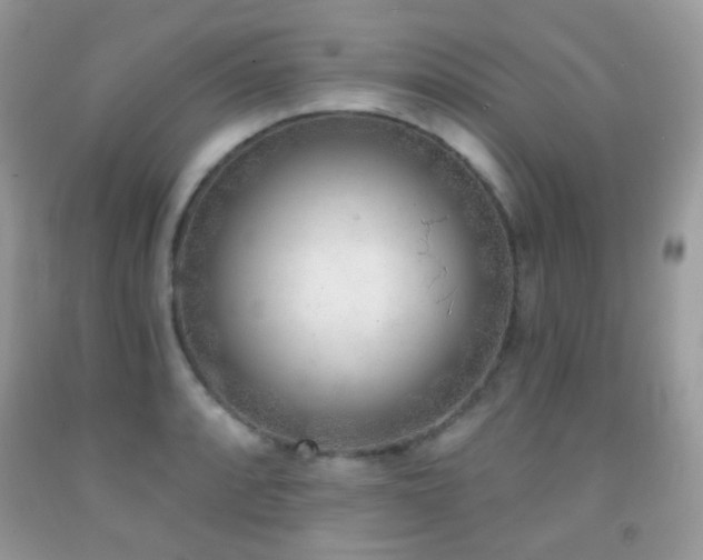 X0000091971088200709061326