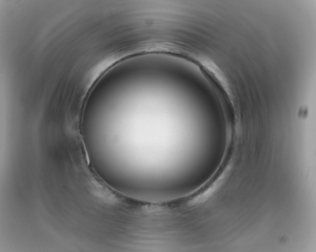 X0000091971089200709061326