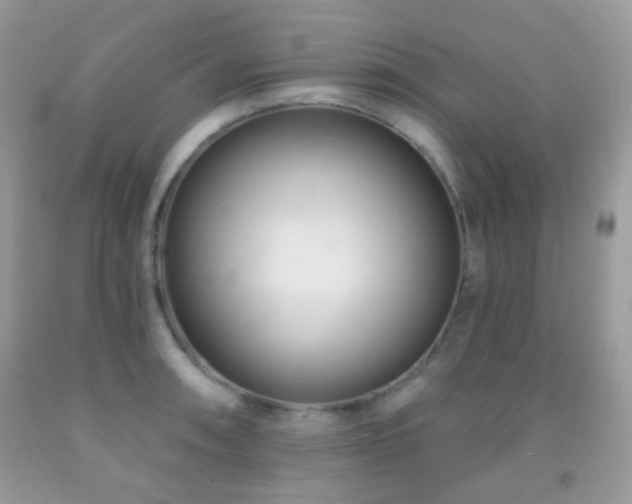 X0000091971090200709061326