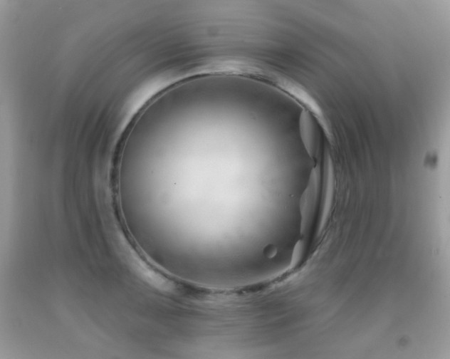 X0000091971091200709061326