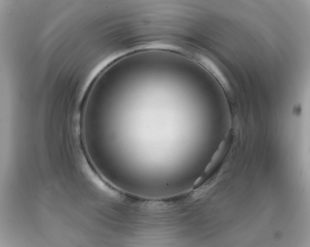 X0000091971092200709061326
